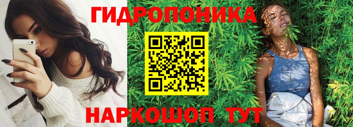 Марихуана OG Kush Тольятти